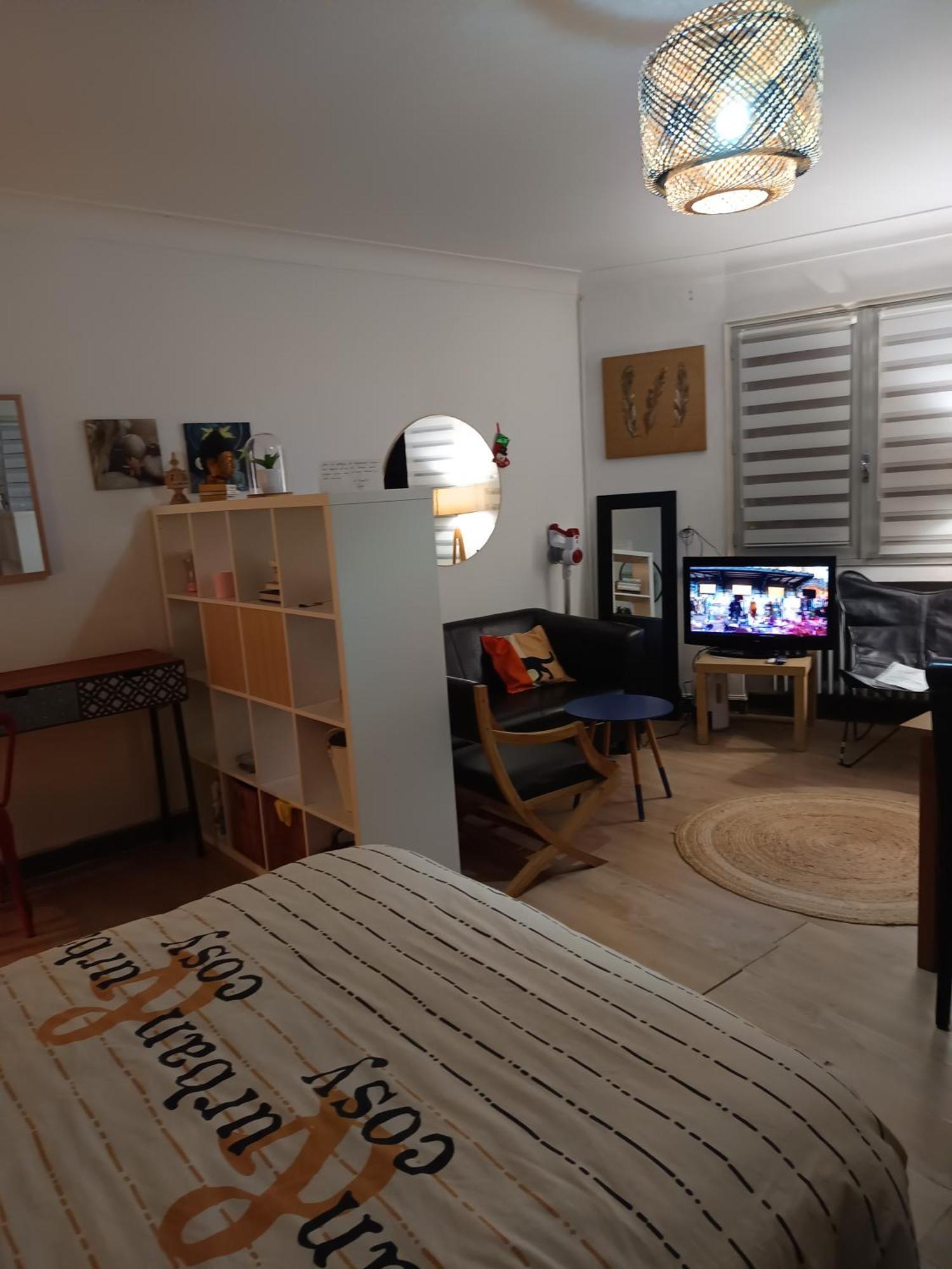 Hebergement Entier 20 M2 Тулуза Экстерьер фото